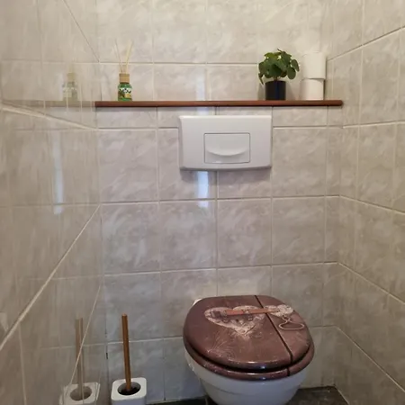 Les Sallanches Appartement *